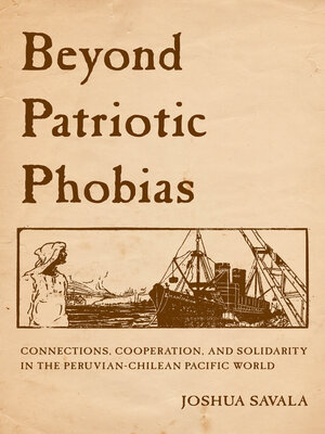 cover image of Beyond Patriotic Phobias